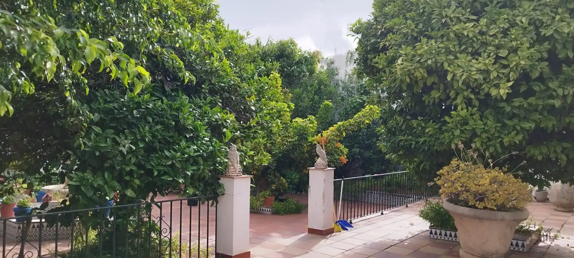Casa o chalet en venta en Centro