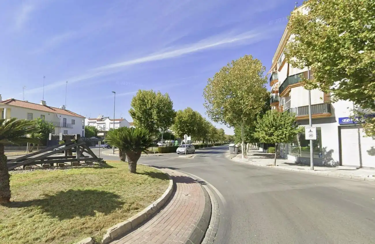 Vista exterior de Casa adosada en venta en Écija con Jardín privado y Terraza