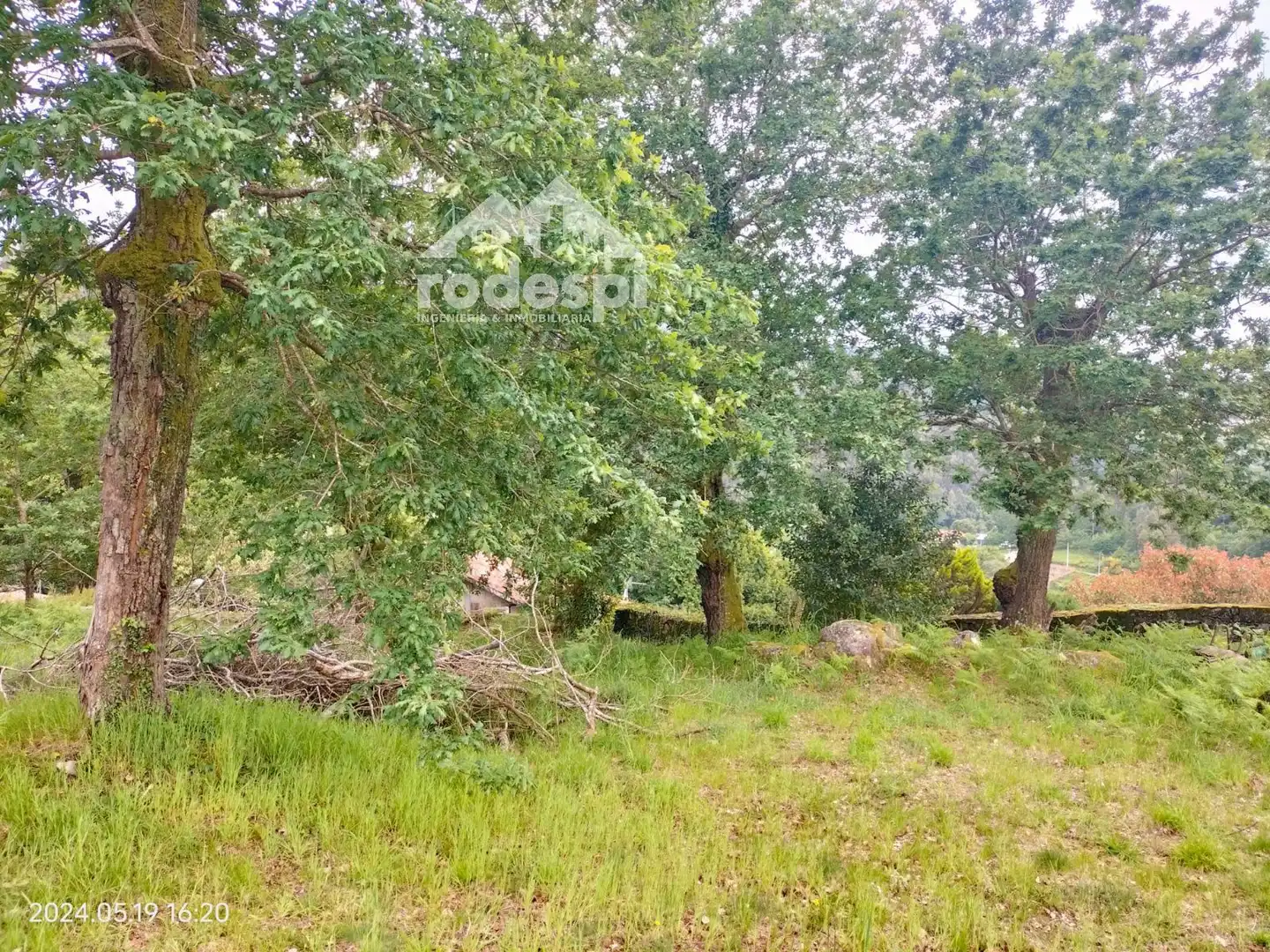 Terrenys i solars en venda a Cotobade, imagen 2