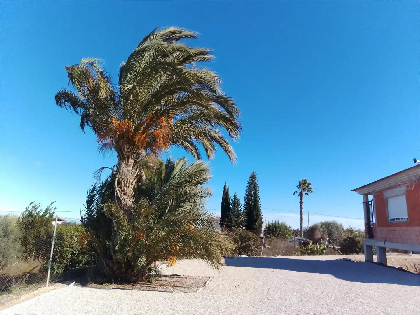 Vista exterior de Casa o xalet en venda en Orihuela amb Piscina i Balcó