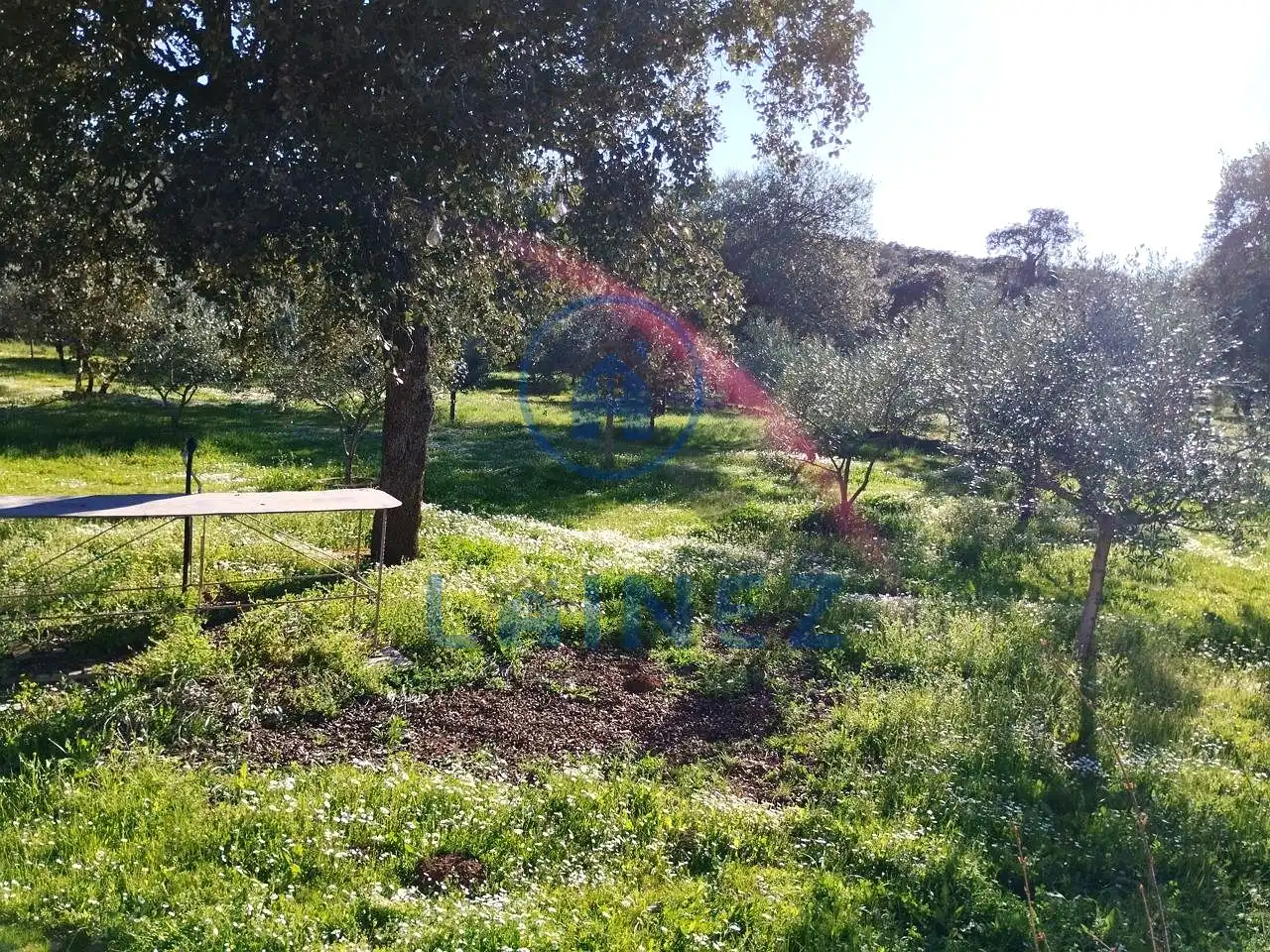 Residential for sale in Villanueva del Duque