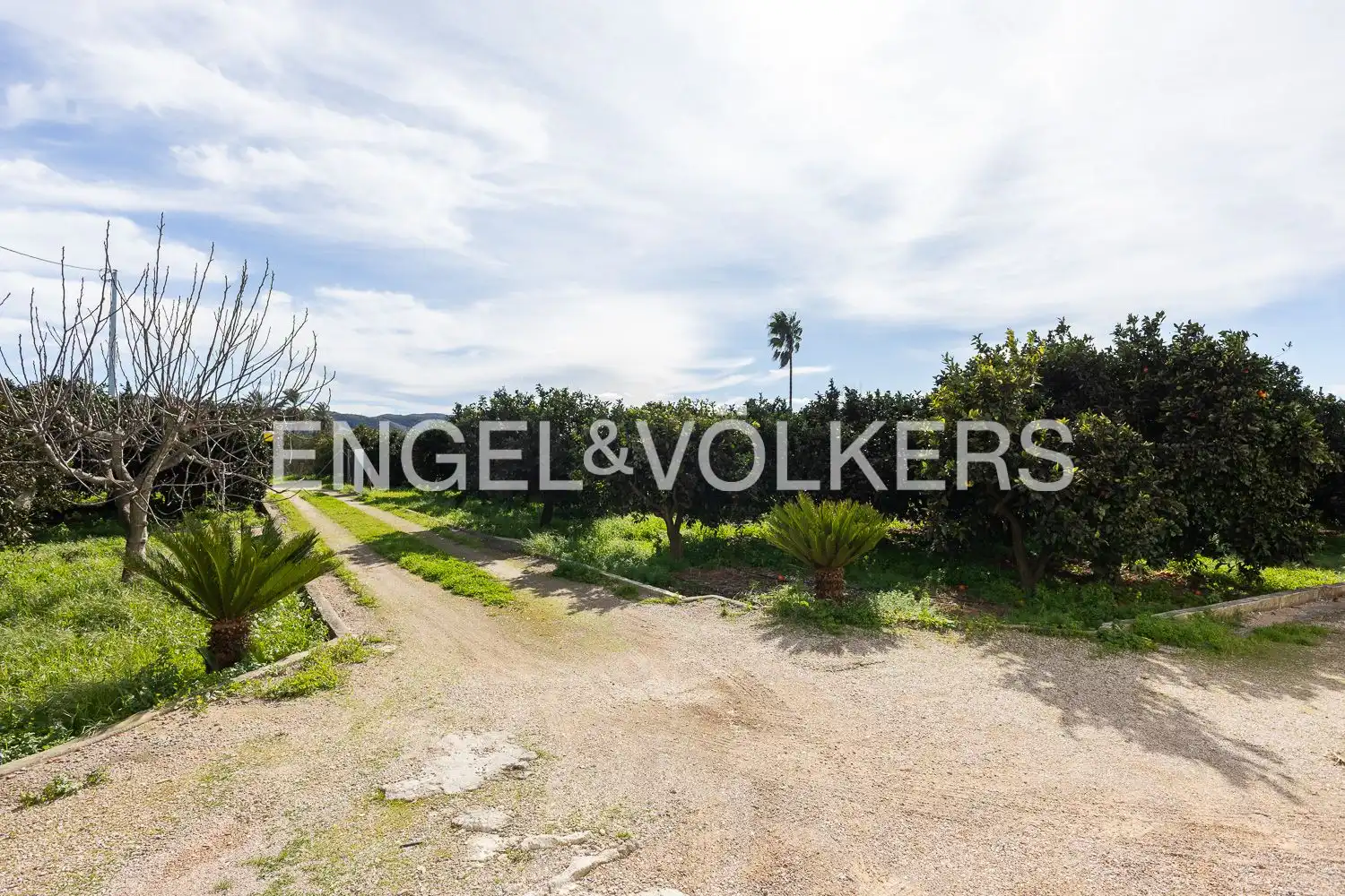 Casa o chalet en venta en Carcaixent con Aire acondicionado, Calefacción y Jardín privado