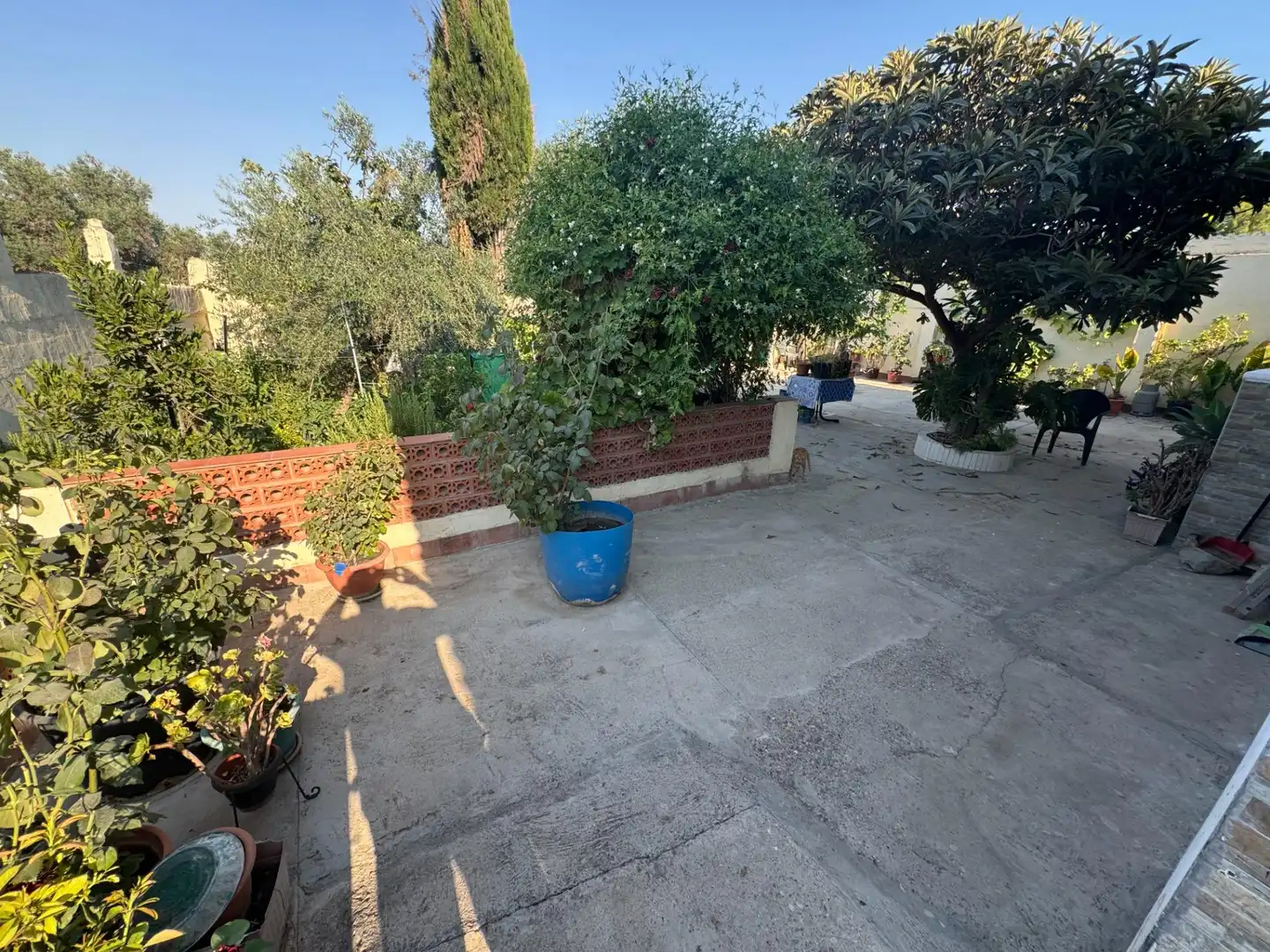 Terraza de Finca rústica en venta en Dos Hermanas
