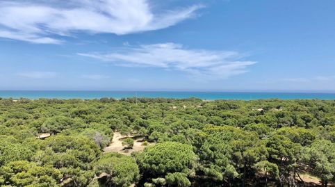 Foto 2 de Apartamento en venta en Carrer Colon, 42, Pueblo, Guardamar del Segura