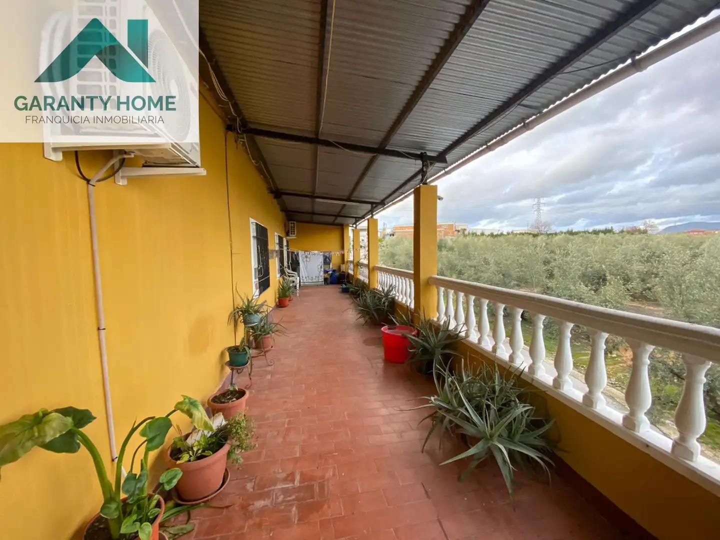 Vista exterior de Casa o chalet en venta en Lucena con Aire acondicionado, Jardín privado y Terraza