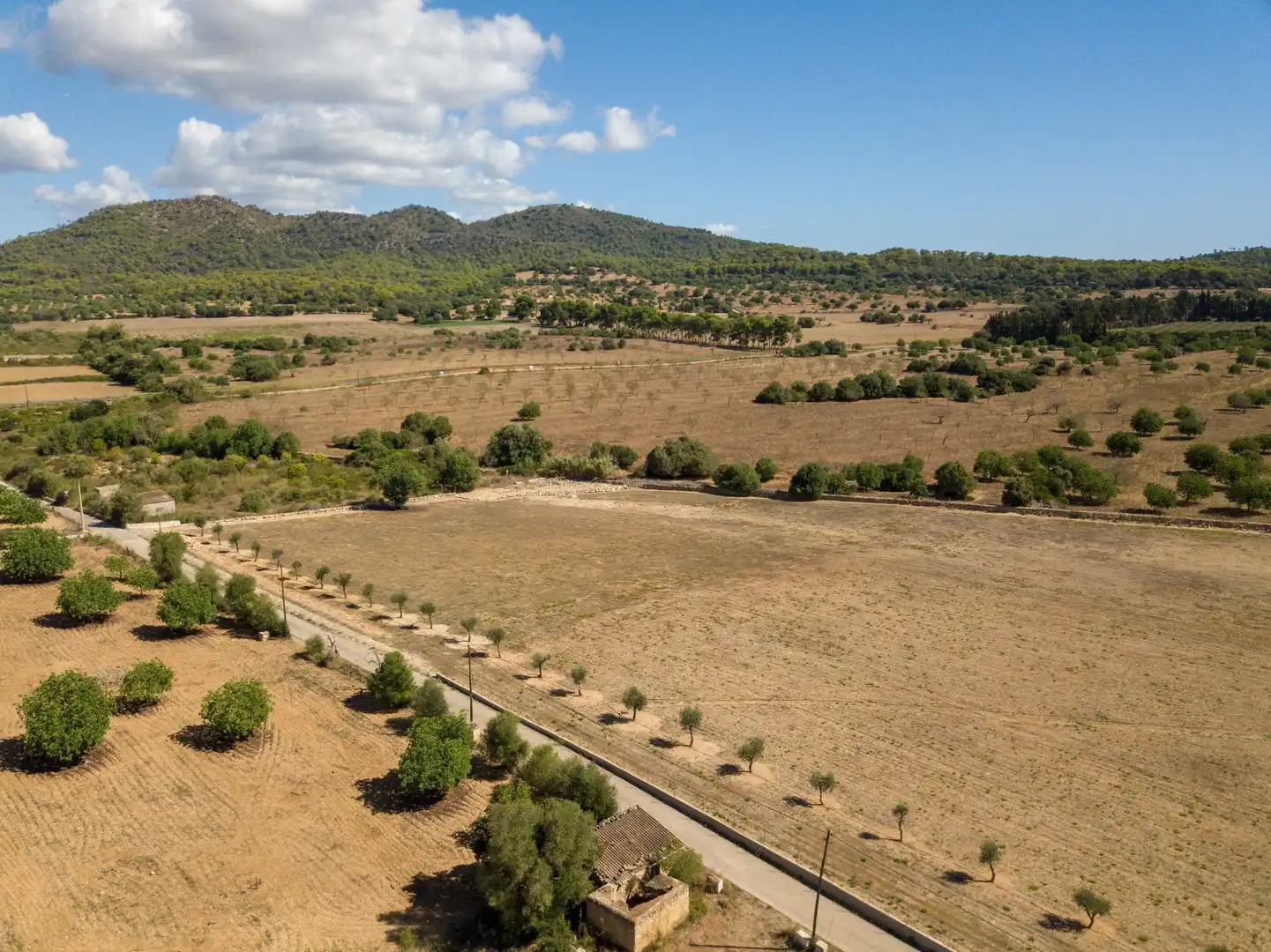 Rural land for sale in Son Vives, imagen 15