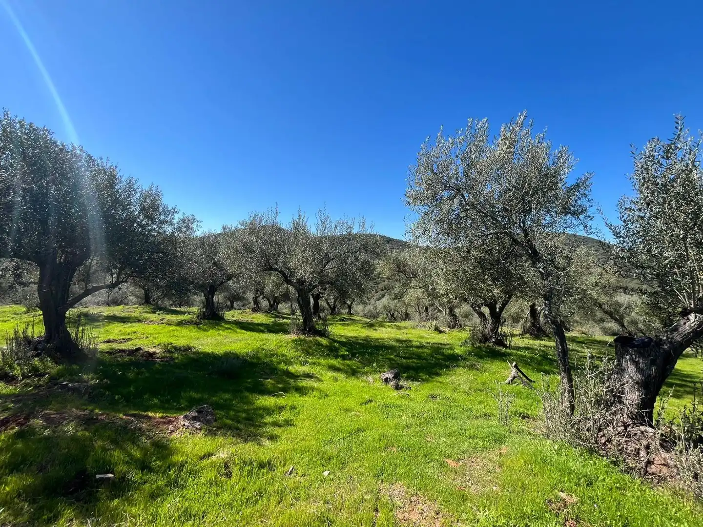 Terreni e lotti in vendita a Zufre
