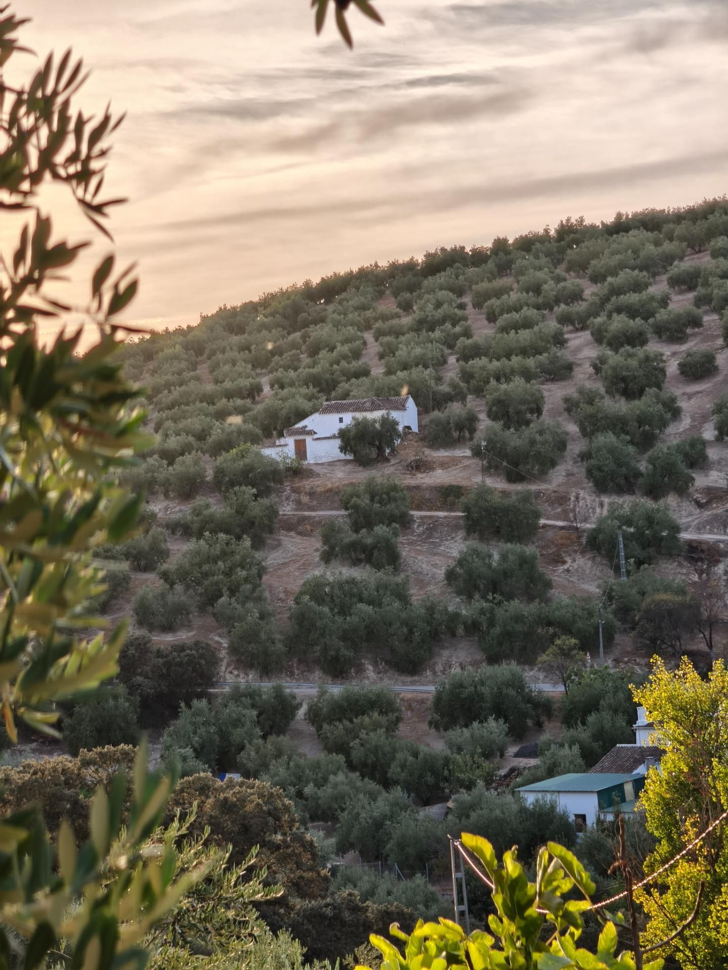 Country house for sale in Iznájar