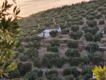 Maison rustique à vendre à Cierzos y Cabreras