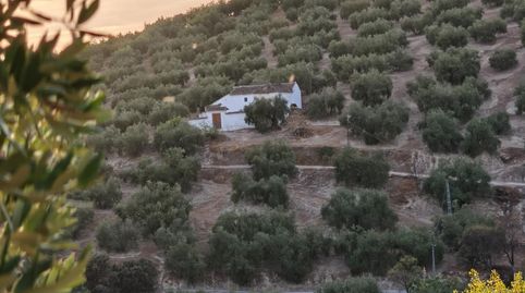 Cortijo tradicional con encanto junto al Pantano de Iznájar. Arroyo de Priego