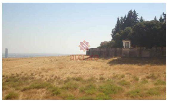 Terreno residencial en Venta en Manuel E. Patarroyo en Castilleja de Guzmán