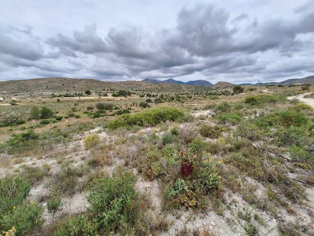 Terreno en Venta en Moralet