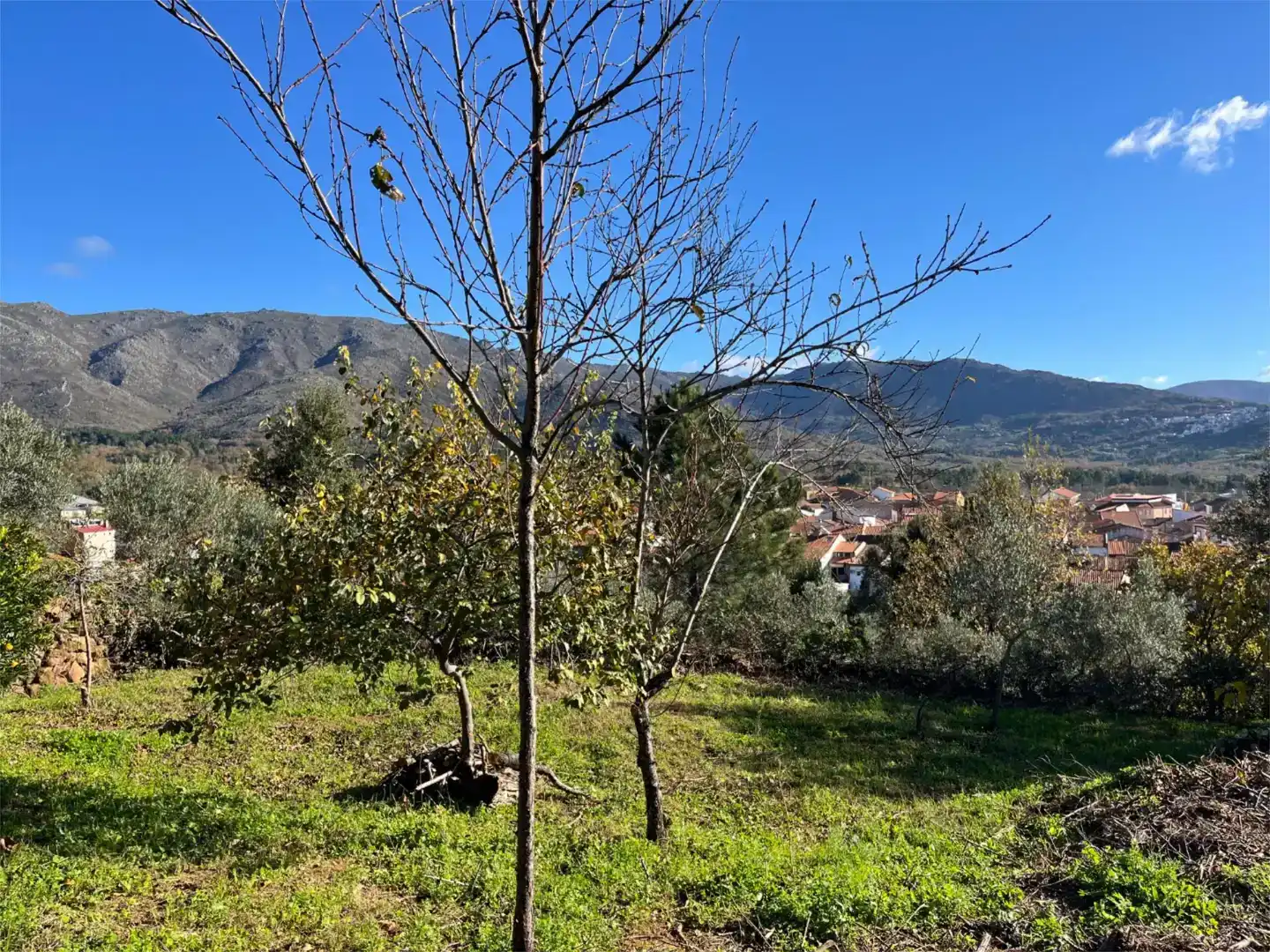 Terreno en venta en Valverde del Fresno