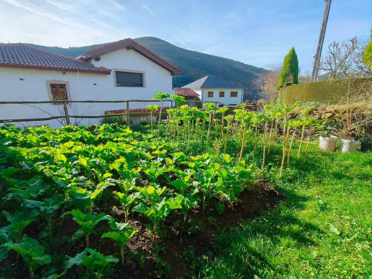Jardín de Casa o chalet en venta en Valdés - Luarca con Terraza, Trastero y Piscina
