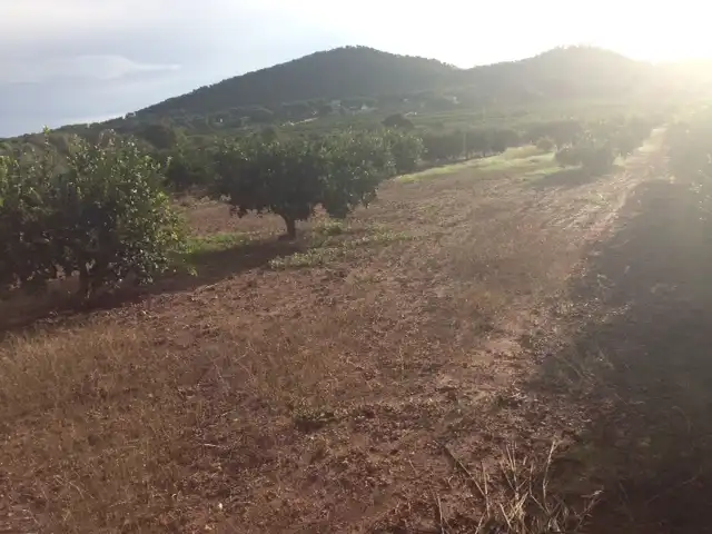 Terrenys i solars en venda a Estivella, imagen 2