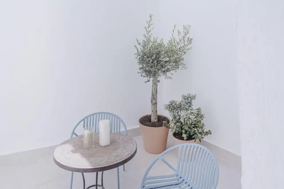 Terraza de Planta baja en venta en Madrid con Aire acondicionado, Calefacción y Terraza