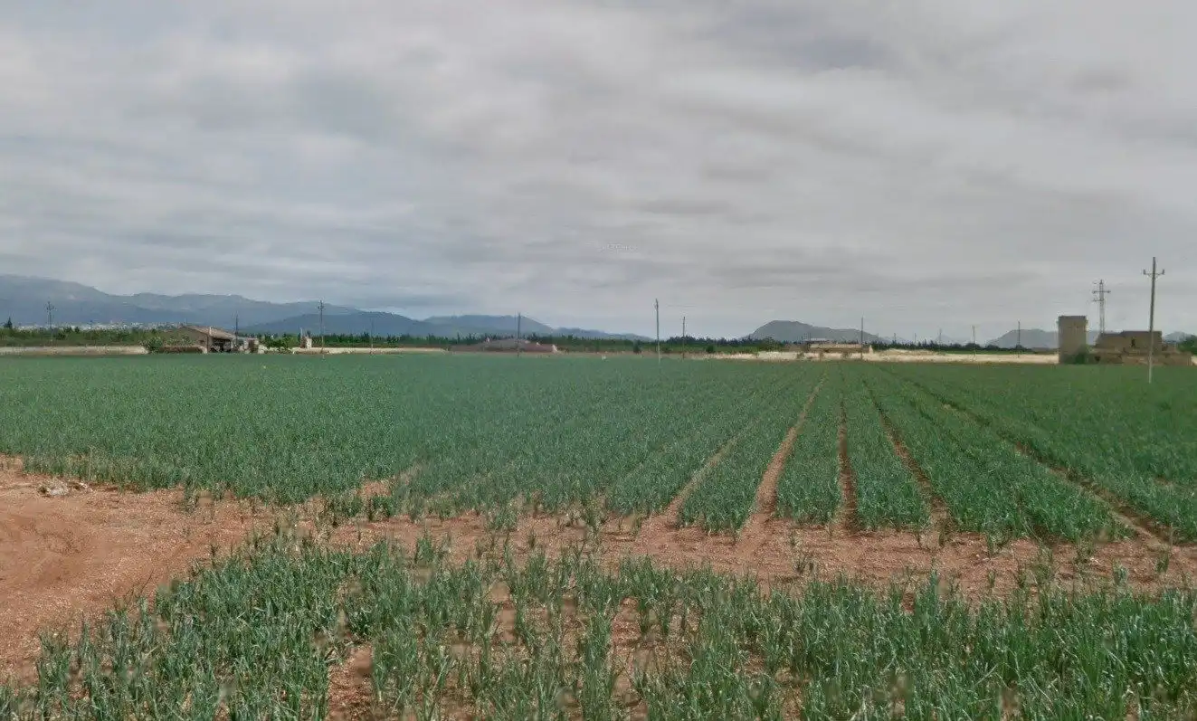 Wohnbaugrundstück zum Verkauf in Sa Pobla, imagen 3