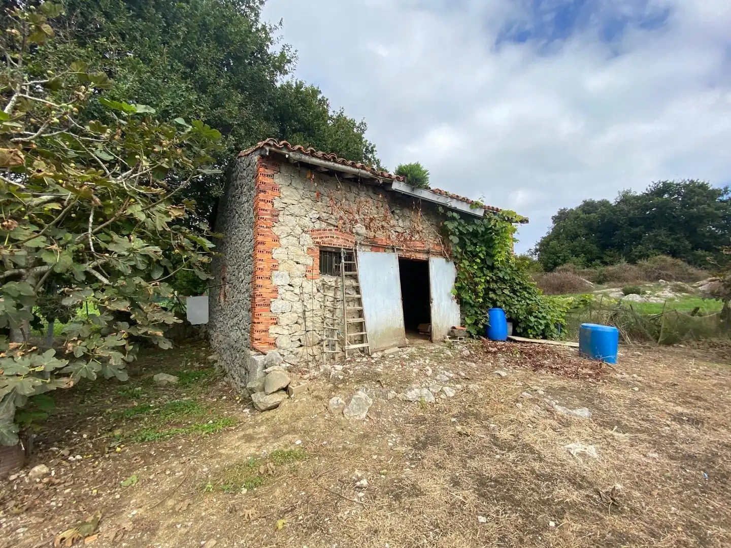 Finca rústica en venta en Argoños