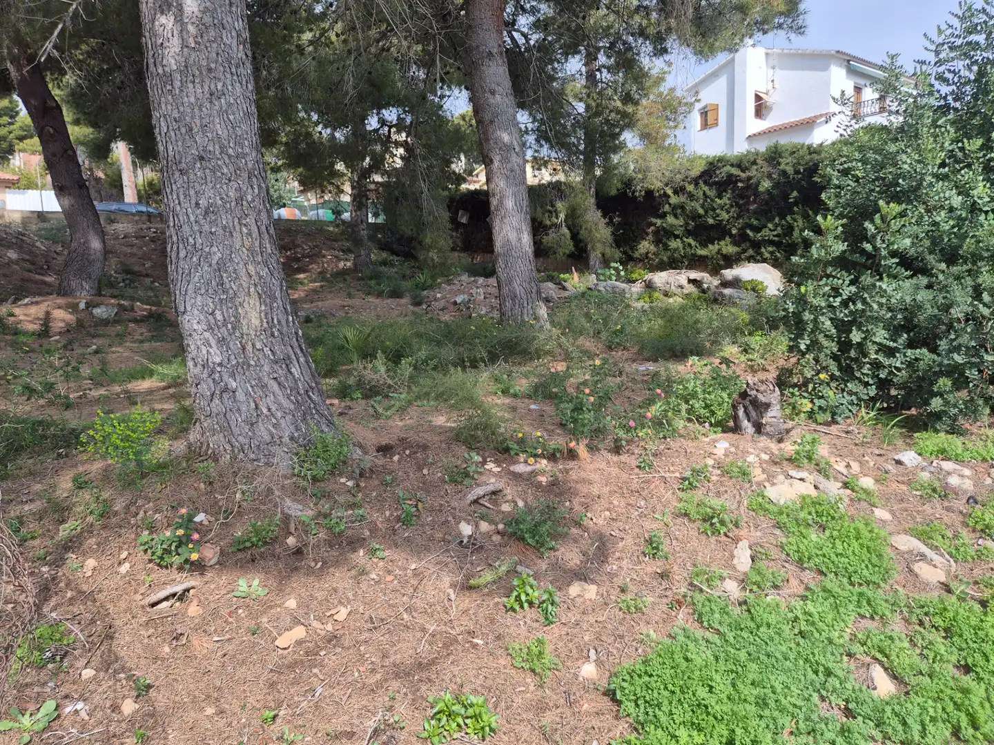 Residencial en venta en Roda de Berà
