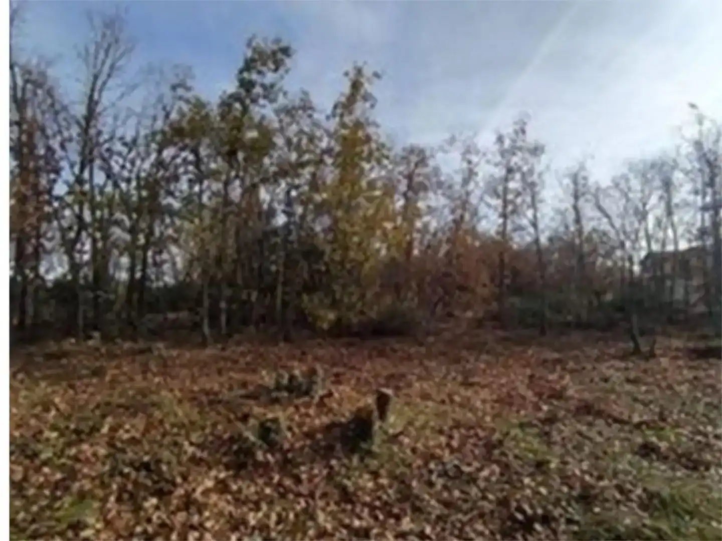 Finca rústica en venda en Valverde de la Virgen