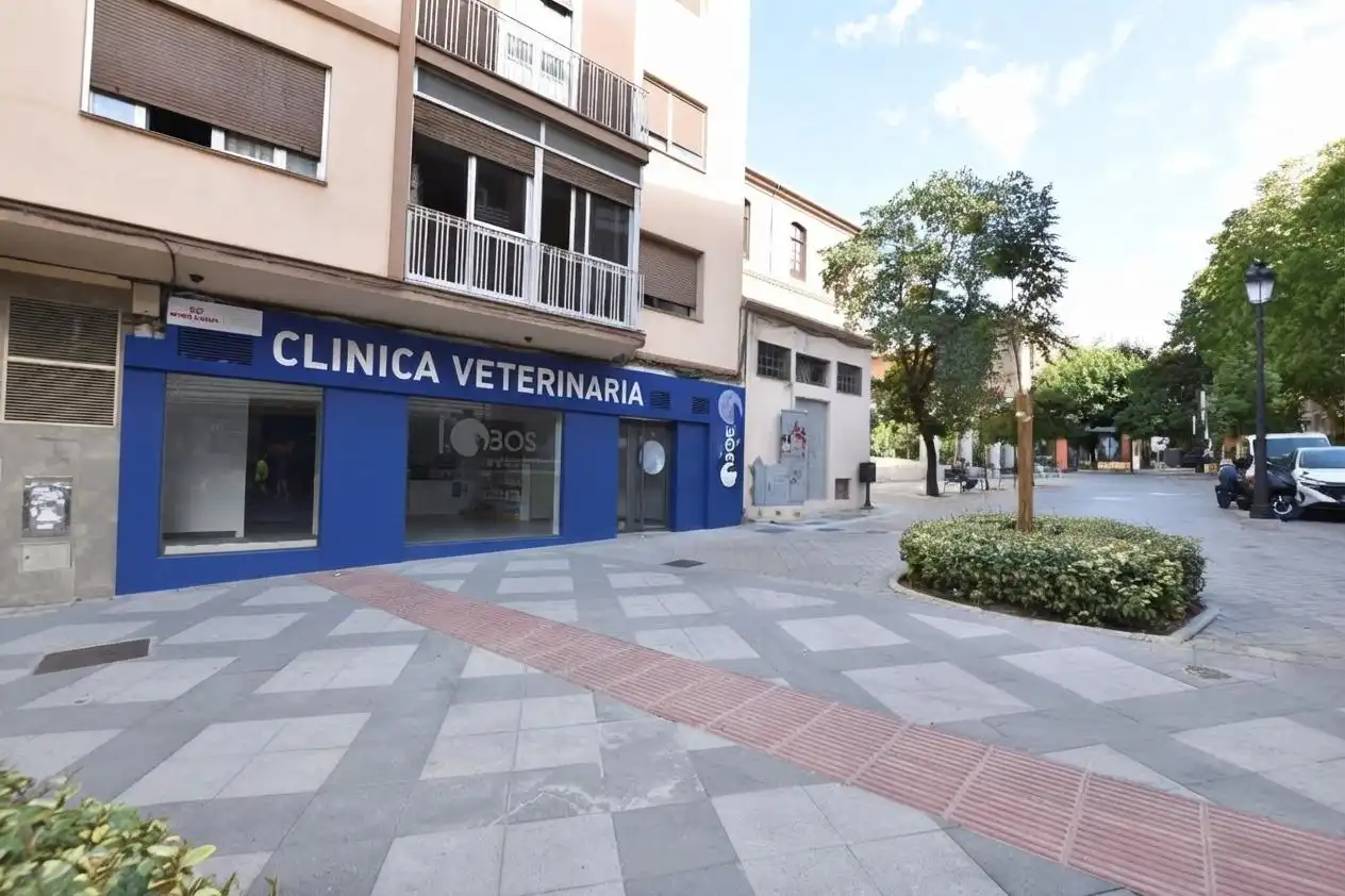 Vista exterior de Local de alquiler en Centro