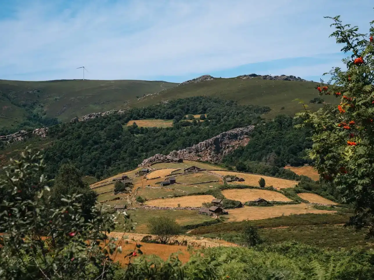 Vista exterior de Pis en venda en Allande, Asturias