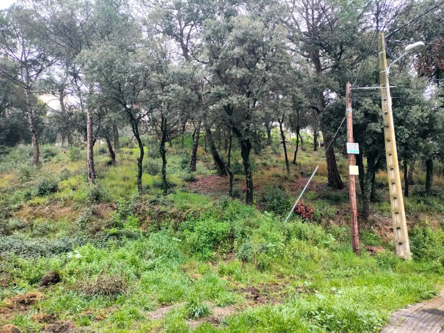 Terreno residencial en venta en Carrer Llessami, imagen 5