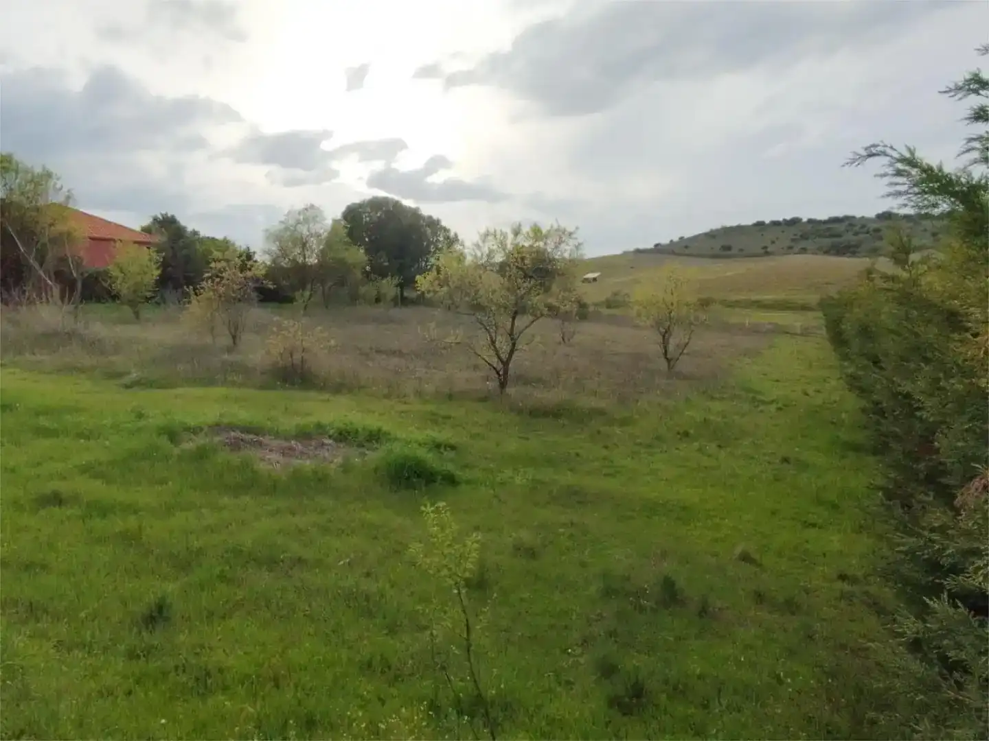 Residencial en venta en Ribatejada