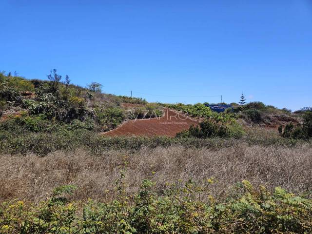 Terreno en Alquiler en Ladera la Pintora, 1 en La Esperanza - Llano del Moro