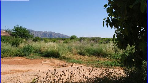 ¡Haz realidad tus sueños de campo con esta parcela rústica en Fortuna! ????, immagine 3