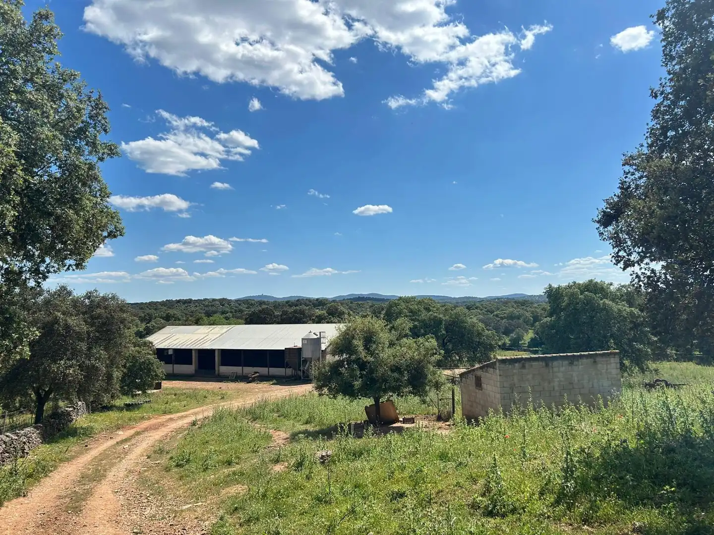 Finca rústica en venta en Alanís