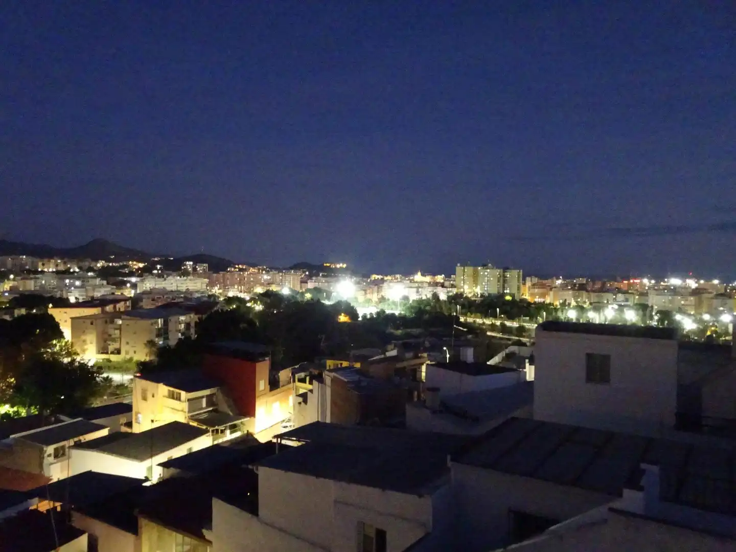 Exterior view of Detached homes for sale in Málaga  with Air Conditioner, Terrace and Furnished