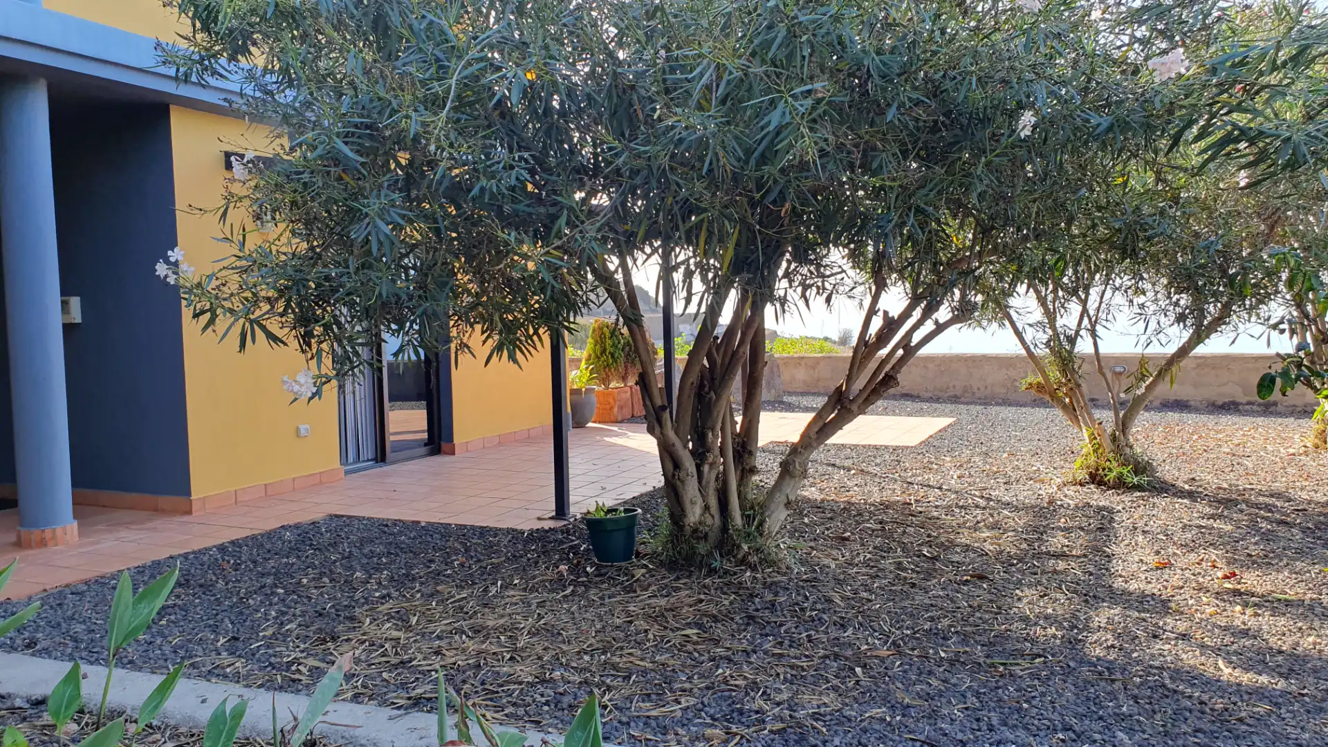 Jardí de Casa o xalet en venda en San Juan de la Rambla amb Jardí privat i Terrassa