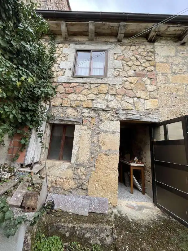 Vista exterior de Casa o chalet en venta en Valle de Manzanedo con Jardín privado