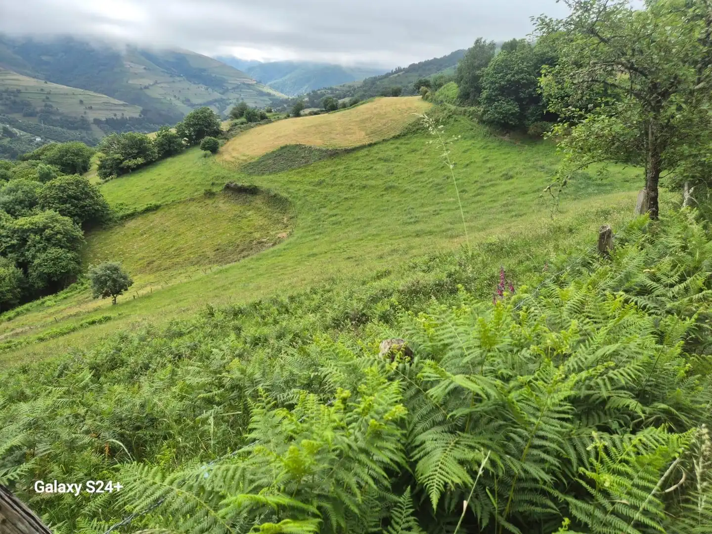 Finca rústica en venta en Cangas del Narcea con Calefacción, Jardín privado y Terraza