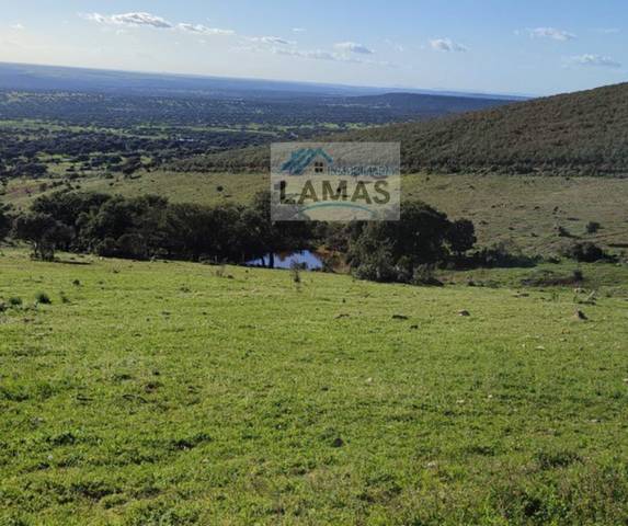 Terreno en Venta en Cabañas del Castillo