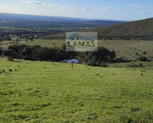 Land for sale in Cabañas del Castillo