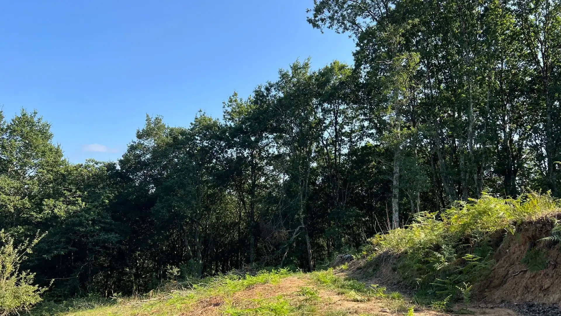 Terreno en venta en Parres