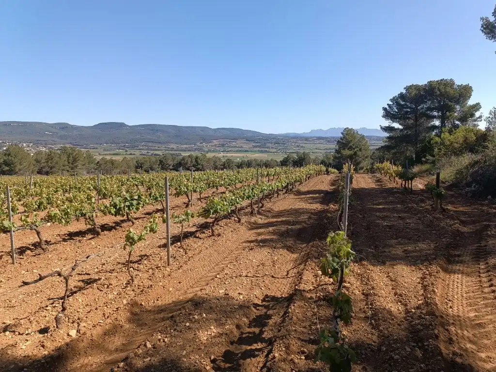 Rustikales Grundstück zum Verkauf in Sant Julià, imagen 7