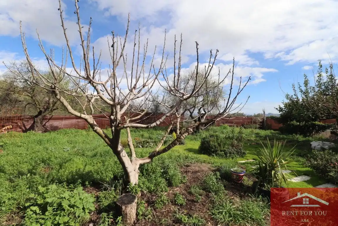 Casa con giardino in affitto a Coín, imagen 20