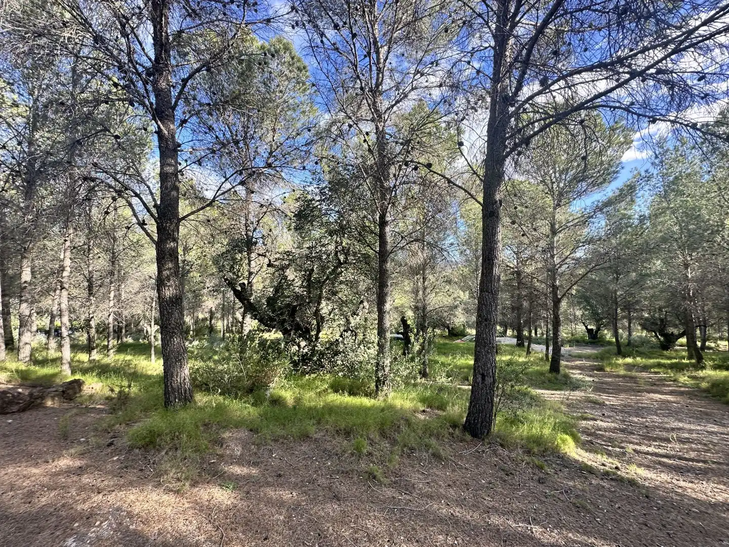 Terreny residencial en venda a Estivella, imagen 13
