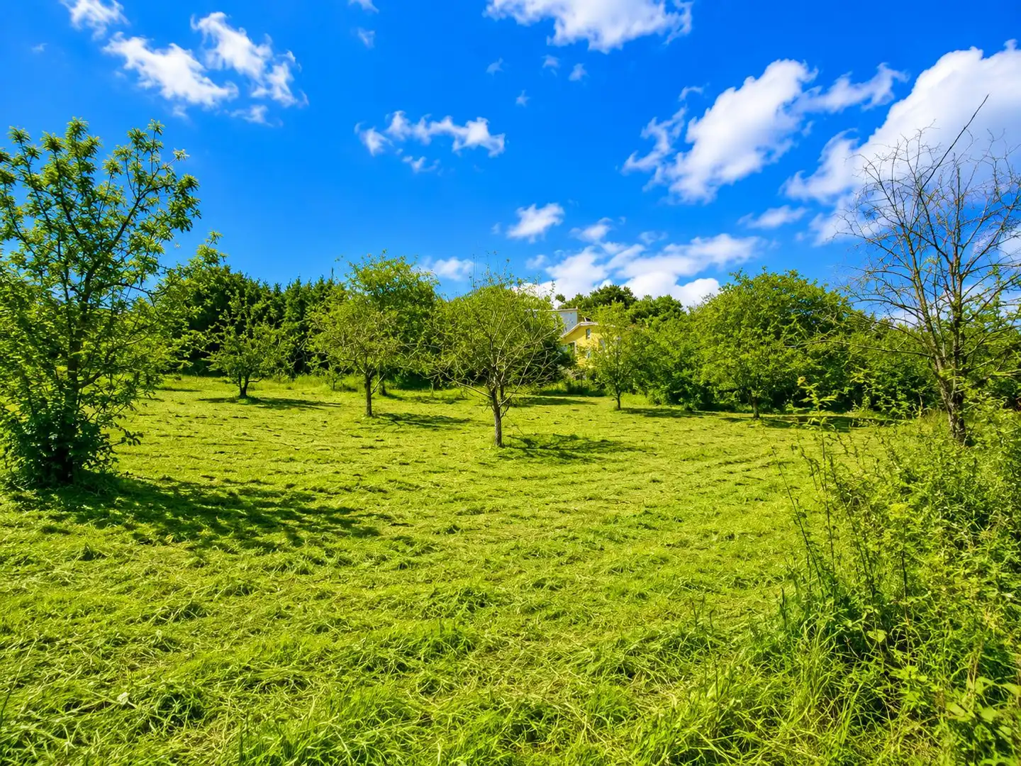 Residential land for sale in Grado, imagen 12