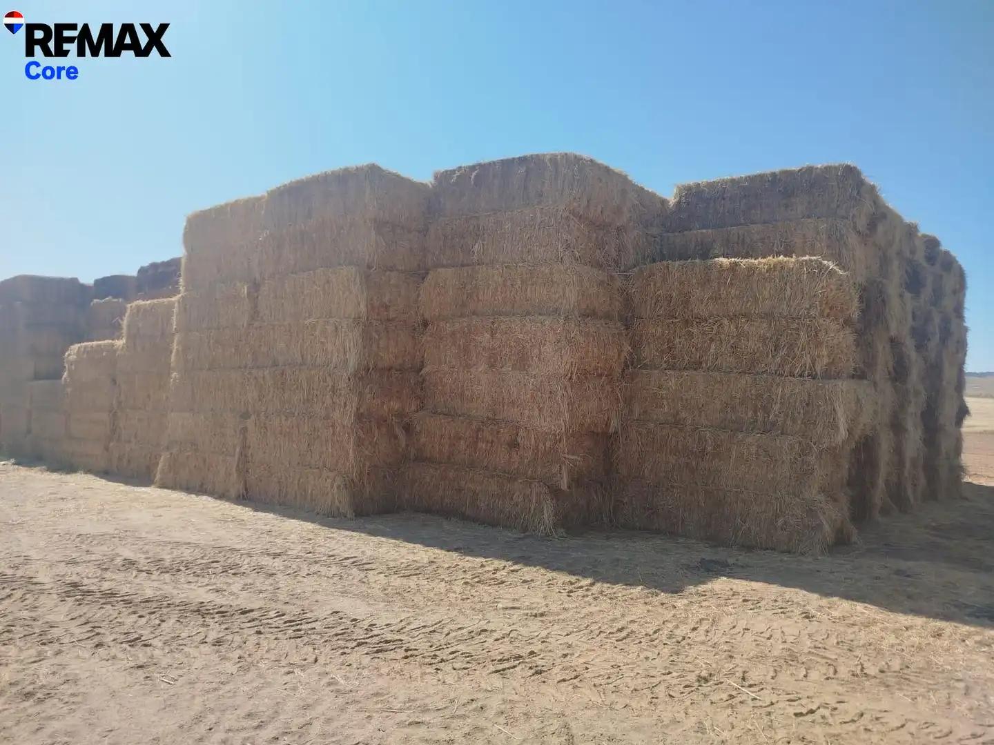 Exterior view of Land for sale in Valencia de las Torres