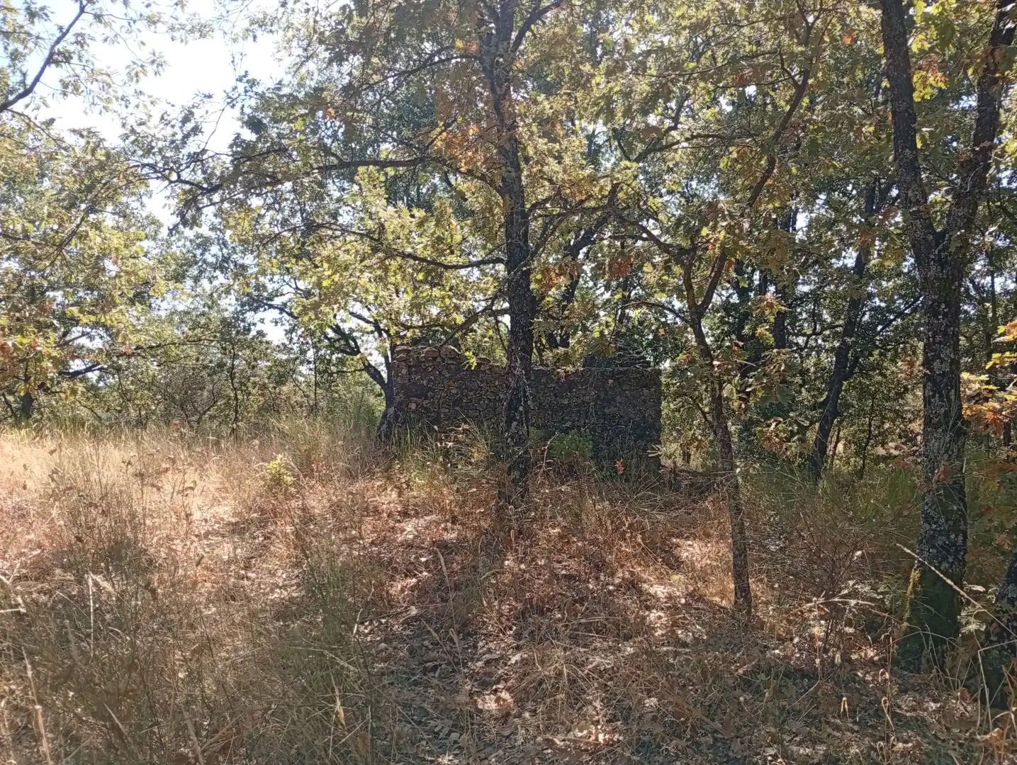 Terreni e lotti in vendita a Villanueva de la Vera, imagen 63