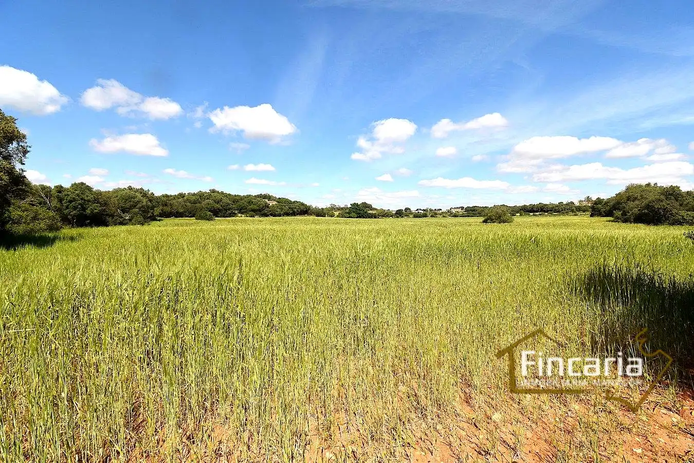 Lands and plots for sale in Ma-5120, imagen 6