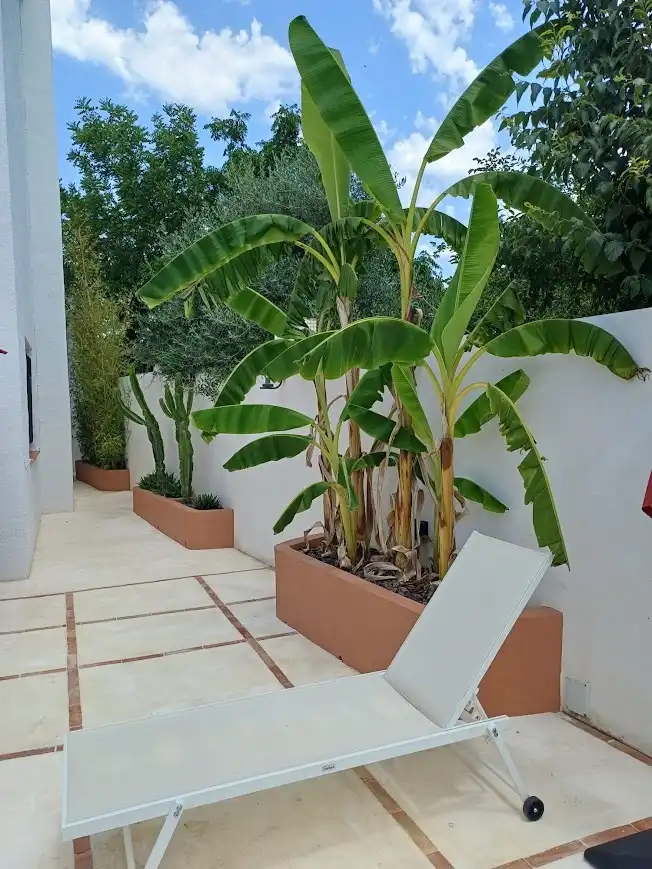 Casa con piscina en venta en Barxeta, imagen 40