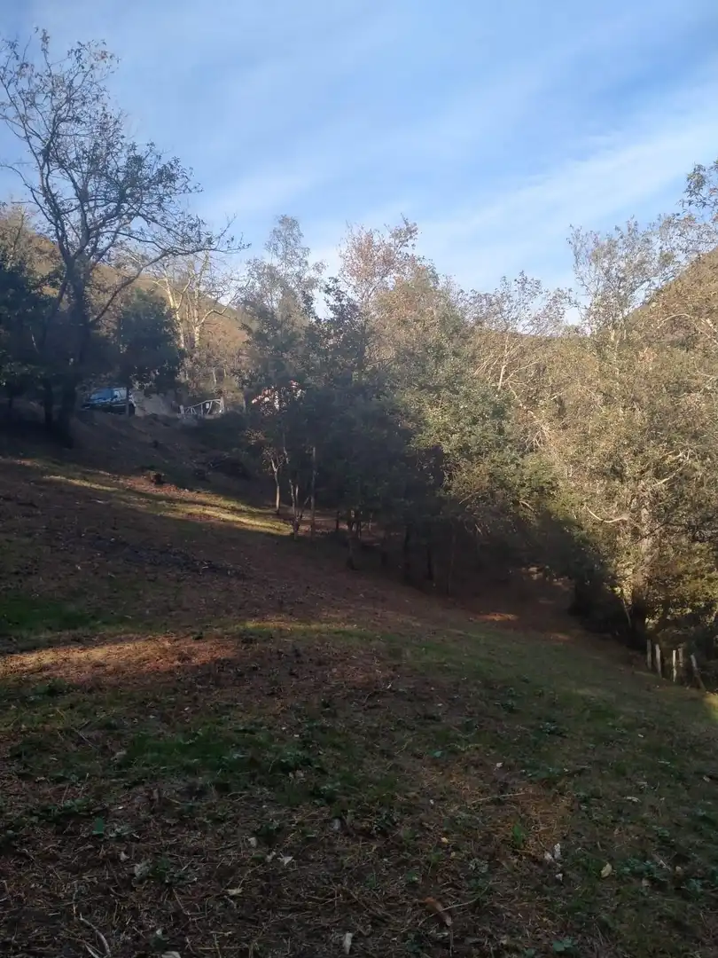 Country homes for sale in Piloña