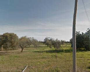 Casa o xalet en venda en Vinaròs