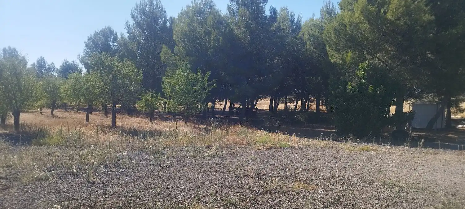Casa o chalet en venta en Argamasilla de Calatrava