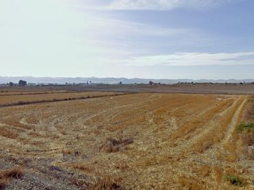 Residential land for sale in Puerto Lumbreras